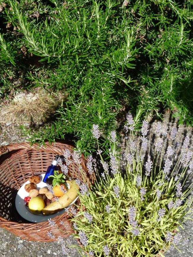 Alimentation Naturopathique