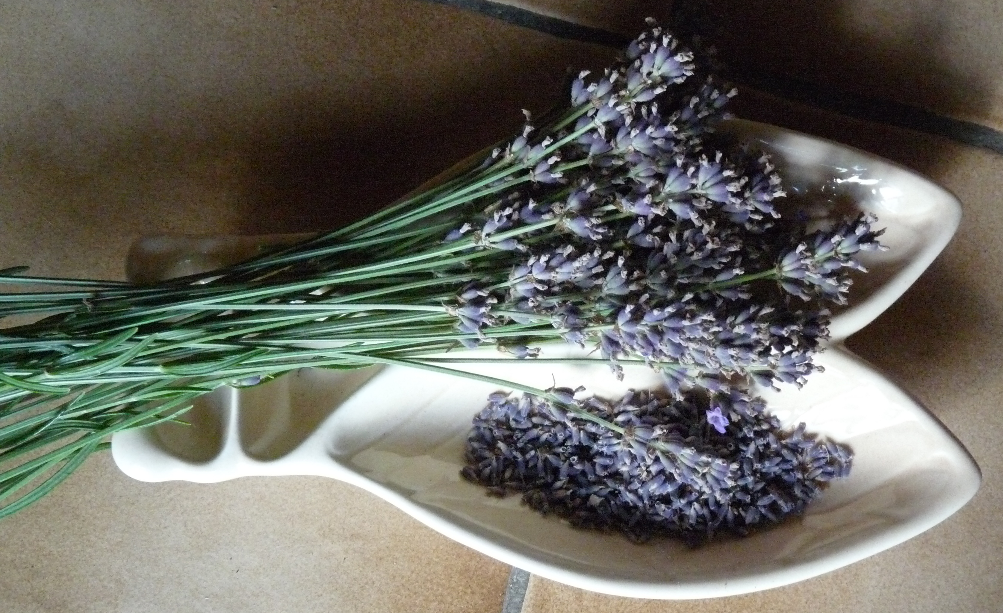 récolte lavande FlavieDode Nturopathie Réflexologies
