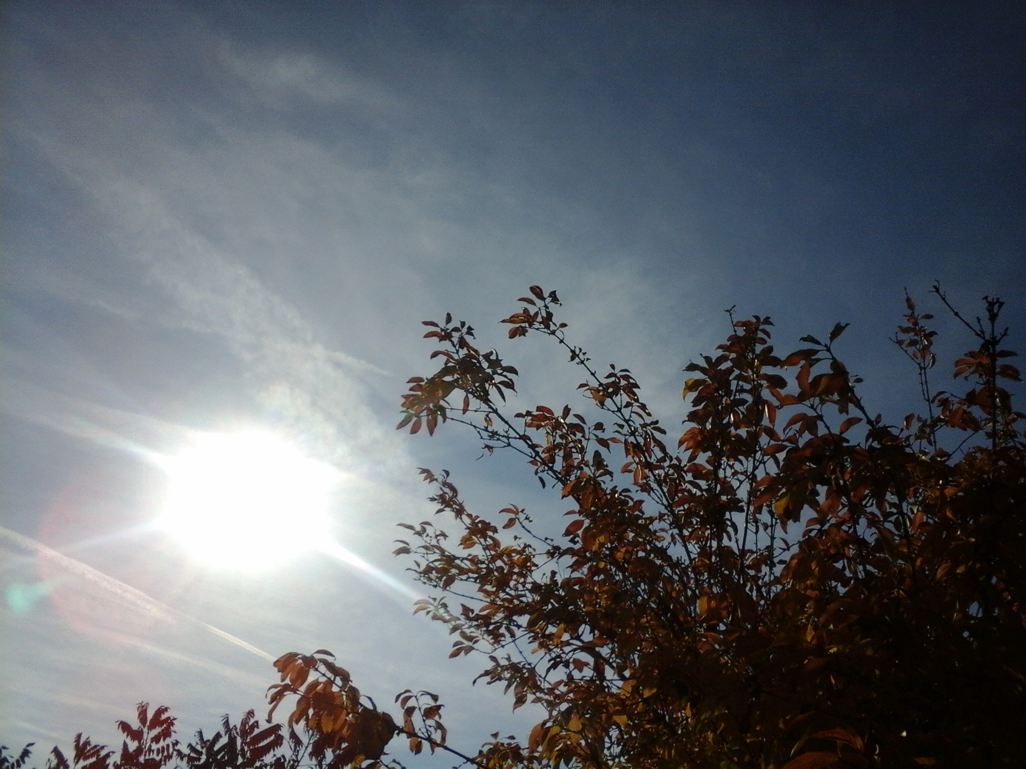 soleil_automne Flavie Dode Naturopathie Réflexologies Bien-être