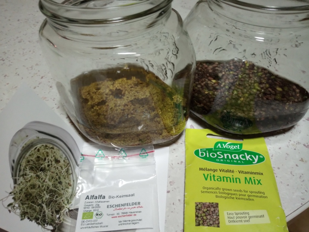 Flavie Dode Naturopathie Réflexologies Bien-être Alimentation Vitalité Nutrition Graines germées