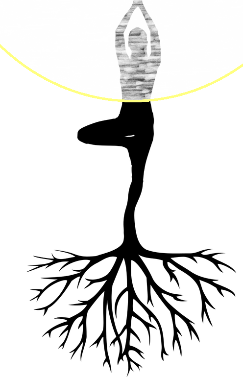 ancrage s'ancrer enracinement s'enraciner